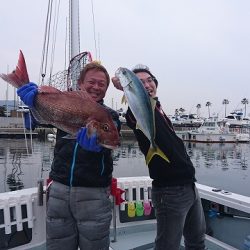 フィッシングボートACE（エース） 釣果