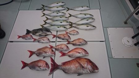 フィッシングボートACE（エース） 釣果