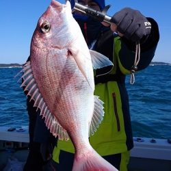 フィッシングボートACE(エース) 釣果