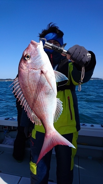 フィッシングボートACE（エース） 釣果