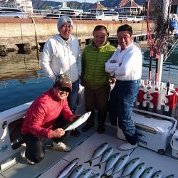 フィッシングボートACE(エース) 釣果