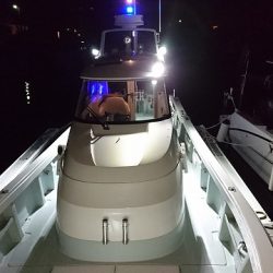 フィッシングボートACE(エース) 釣果