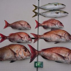 フィッシングボートACE(エース) 釣果