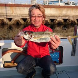 フィッシングボートACE(エース) 釣果