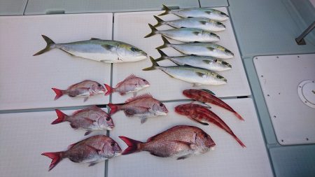 フィッシングボートACE（エース） 釣果