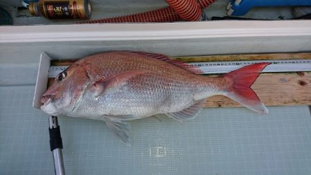 フィッシングボートACE(エース) 釣果