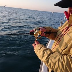 フィッシングボートACE(エース) 釣果