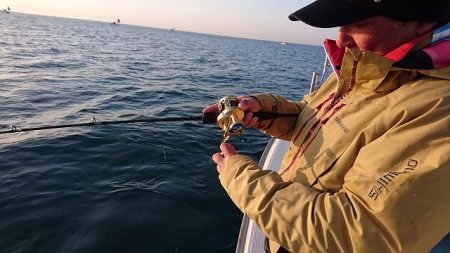 フィッシングボートACE(エース) 釣果