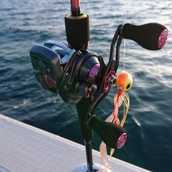 フィッシングボートACE(エース) 釣果