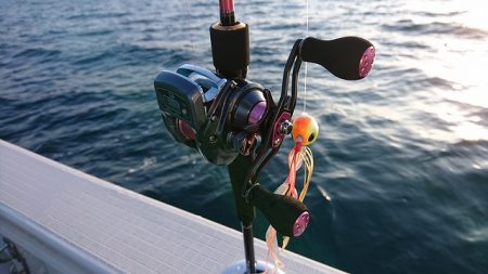 フィッシングボートACE(エース) 釣果