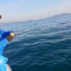 フィッシングボートACE(エース) 釣果