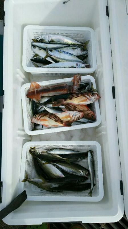金剛丸 釣果