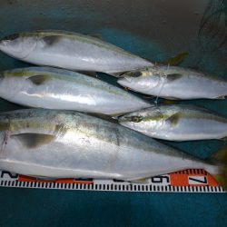 アジアマリンサービス 釣果