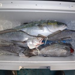 アジアマリンサービス 釣果