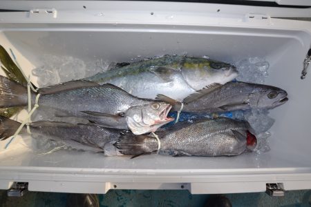 アジアマリンサービス 釣果