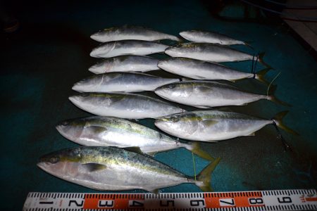 アジアマリンサービス 釣果