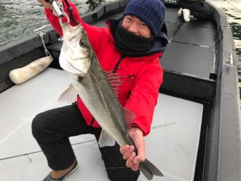 シーマジカル 釣果