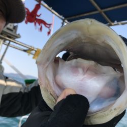 白墨丸 釣果