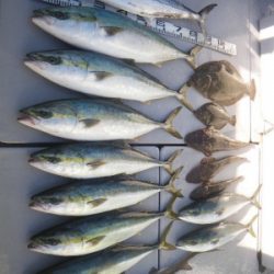 磯部釣船 直栄丸 釣果