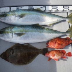 磯部釣船 直栄丸 釣果