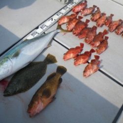 磯部釣船 直栄丸 釣果