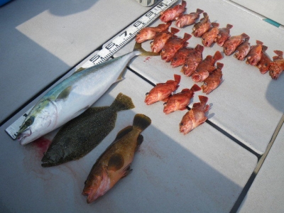 磯部釣船 直栄丸 釣果