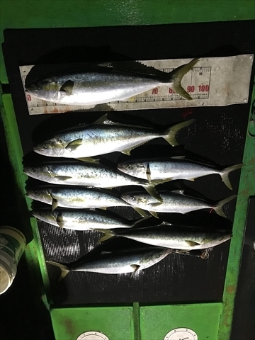 海宝丸　島根 釣果