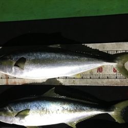 海宝丸　島根 釣果