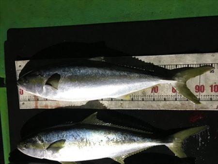 海宝丸　島根 釣果