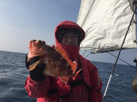 三吉丸 釣果