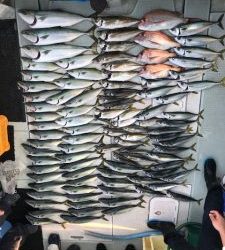 さぶろう丸 釣果