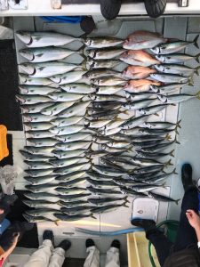 さぶろう丸 釣果