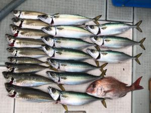 さぶろう丸 釣果