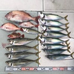 さぶろう丸 釣果