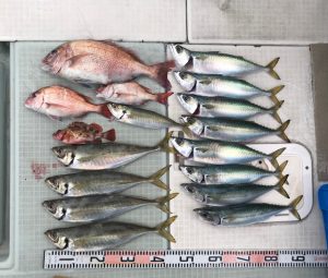 さぶろう丸 釣果