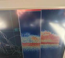 さぶろう丸 釣果