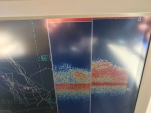 さぶろう丸 釣果