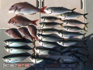 さぶろう丸 釣果