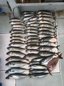 さぶろう丸 釣果