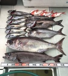 さぶろう丸 釣果