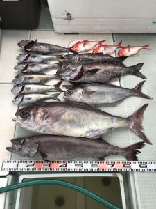 さぶろう丸 釣果
