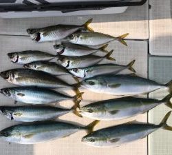 さぶろう丸 釣果