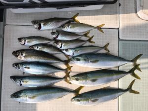 さぶろう丸 釣果