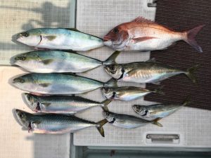 さぶろう丸 釣果