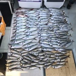 さぶろう丸 釣果