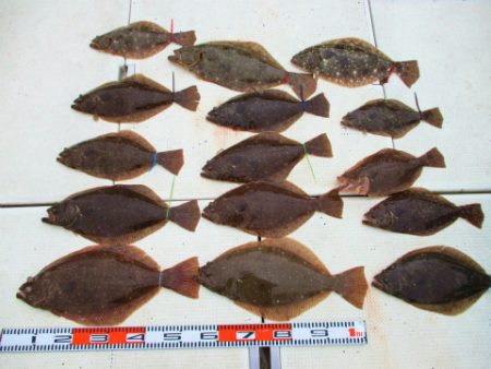 フィッシングガイド とちぎ 釣果