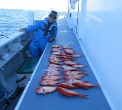 太郎丸 釣果