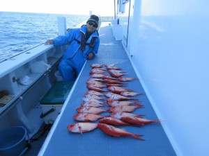 太郎丸 釣果