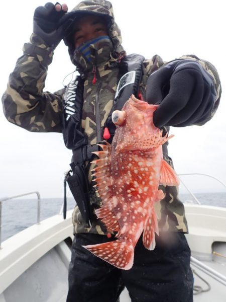 Aquanaut（アクアノート） 釣果