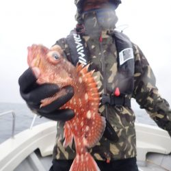 Aquanaut（アクアノート） 釣果